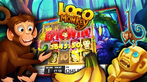 Loco The Monkey Bwin