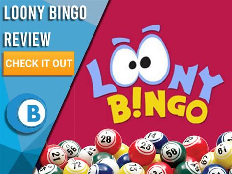 Loony Bingo Casino Download