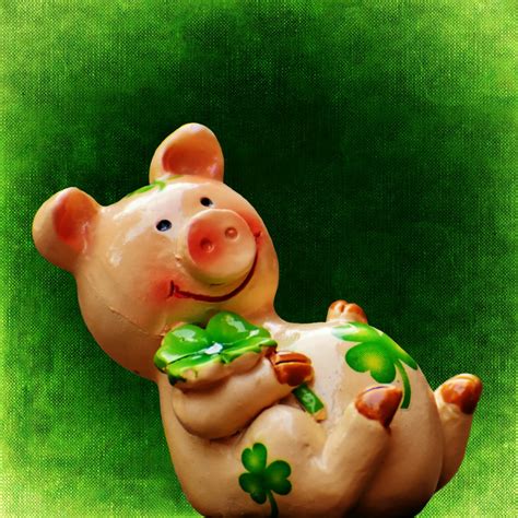 Lucky Pigs Brabet