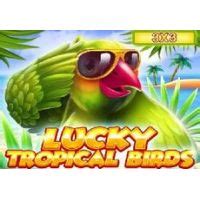 Lucky Tropical Birds 3x3 Parimatch