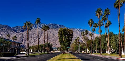 Merda De Palm Springs