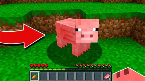 Minecraft Sorte Bloco De Porco Maquina De Fenda