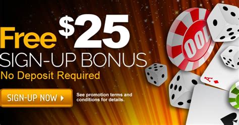 Mr Big Wins Casino Bonus