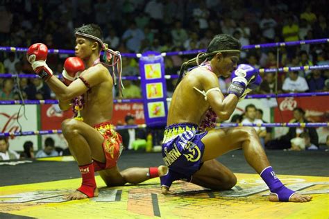 Muay Thai 2 Review 2024