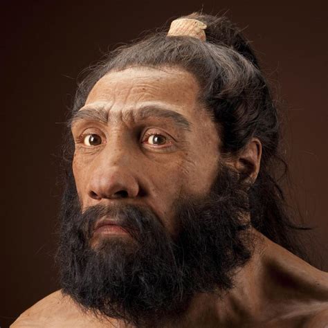 Neanderthals Bodog