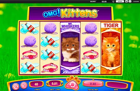 Omg Kittens Bet365