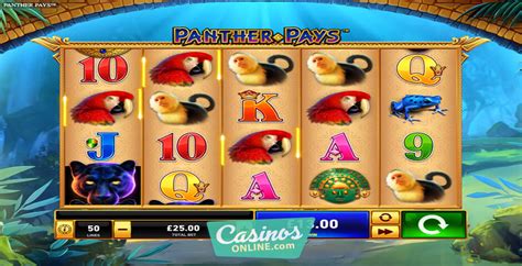 Panther Pays Slot - Play Online