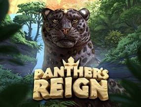 Panther S Reign Bet365