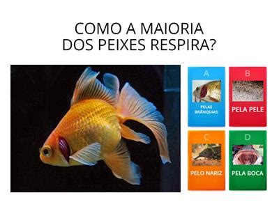 Peixes Por Roleta