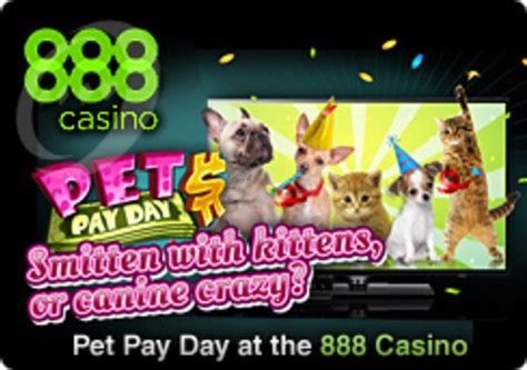 Pet Ranger 888 Casino