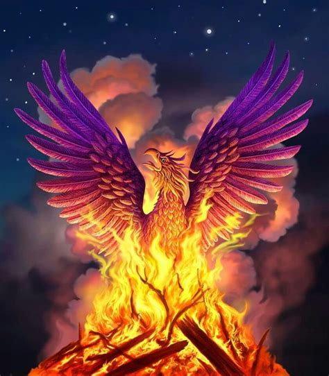 Phoenix Reborn Betsul