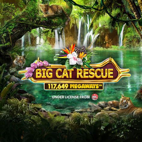 Play Big Cat Rescue Megaways Slot