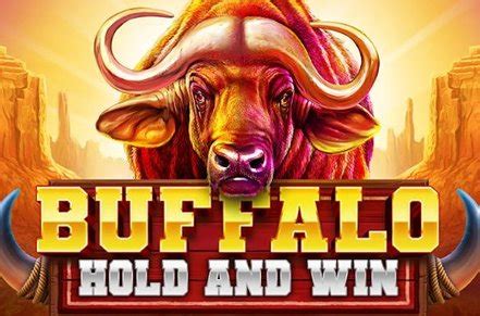 Play Buffalo Hold And Win Slot