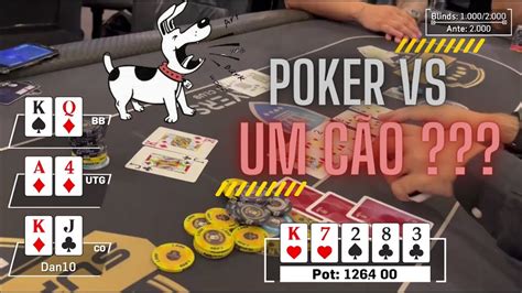 Poker De Animacao Engracada