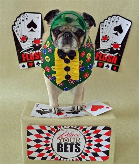 Poker Para Pugs