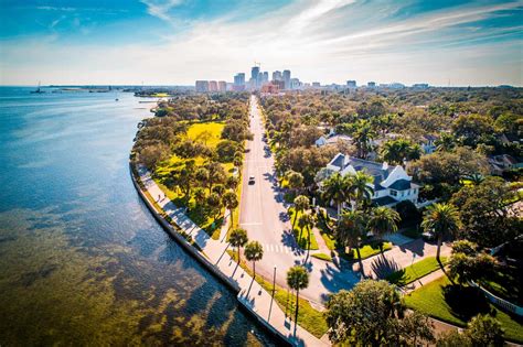 Quarto De Poquer De St Petersburg Fl