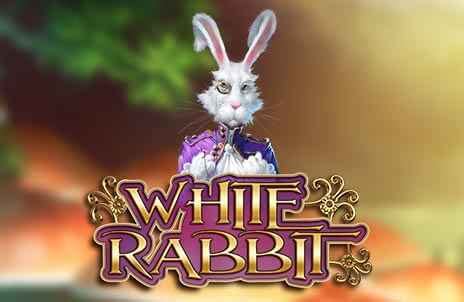 Rabbit Game Casino Chile