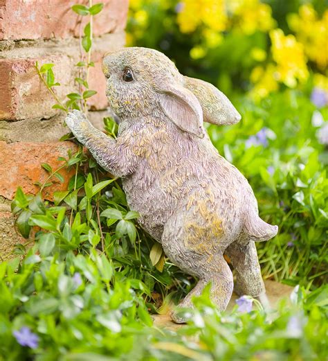 Rabbit Garden Betsul