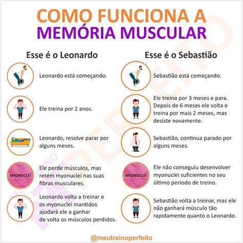 Roleta Memoria Muscular