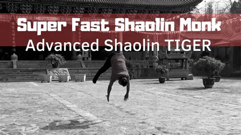 Shaolin Tiger Sportingbet
