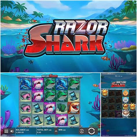 Slot Shark