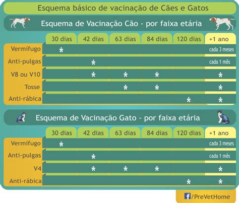 Slots Restantes Para O Filhote De Cursos