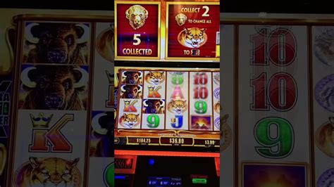Soaring Eagle Casino Slot Vencedores