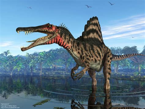 Spinosaurus Novibet
