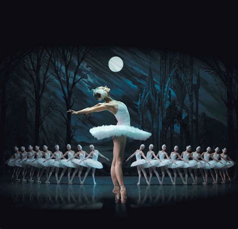 St Petersburg Ballet O Lago Dos Cisnes Montecasino