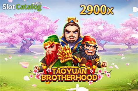 Taqyuan Brotherhood Review 2024
