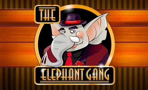 The Elephant Gang Bodog