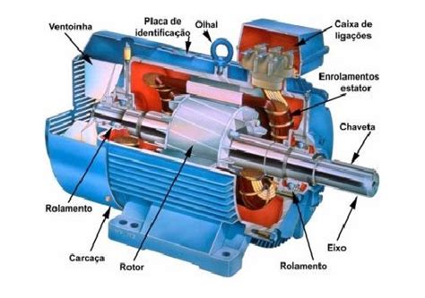 Tipos De Ranhuras Do Motor De Inducao