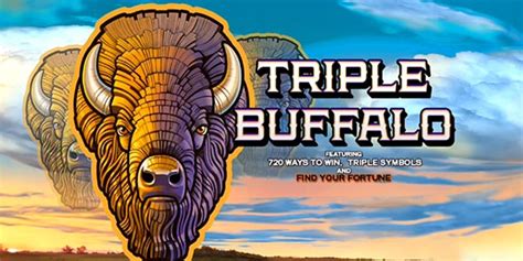 Triple Buffalo Brabet