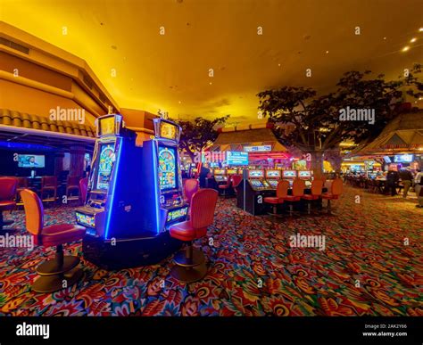 Vegas Fiesta Casino Bolivia