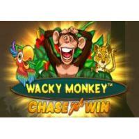 Wacky Monkey Slot - Play Online