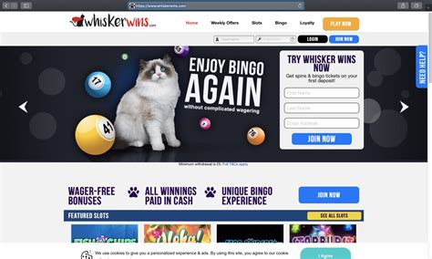 Whisker Wins Casino Belize