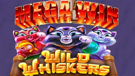 Whisker Wins Casino Mexico