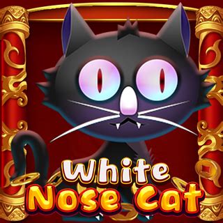 White Nose Cat Parimatch