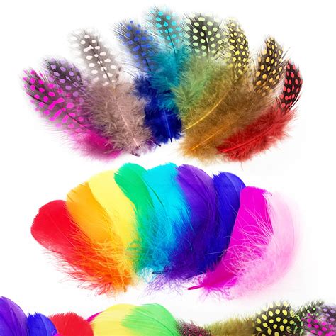 Wild Rainbow Feathers Brabet