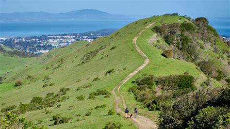 Wildcat Canyon Betano